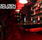 Golden Monkey - Tourism Noosa