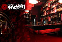 Golden Monkey - Tourism Noosa 0