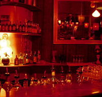 The Night Cat - Tourism Noosa