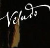 Veludo - Tourism Noosa