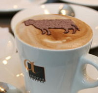 Brown Cow - Tourism Noosa