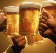 Hotel Maitland - Tourism Noosa