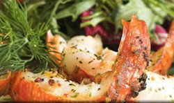 Fishermans Wharf Tavern - Tourism Noosa 1