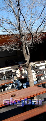 Alma Tavern - Tourism Noosa 2