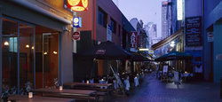 Golden Monkey - Tourism Noosa 2