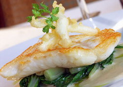 Captain Cook Tavern - Tourism Noosa 2