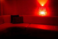 Canary Club - Tourism Noosa 3