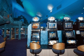 Boat House Tavern - Tourism Noosa 7