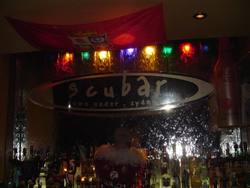 Scubar - Tourism Noosa 1