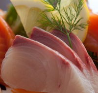 Cherry Blossom Tree - Tourism Noosa