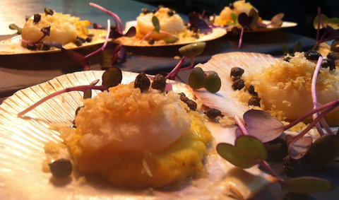 Shangri-La Gardens - Tourism Noosa 1