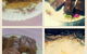Cafe E Biscotti - thumb 1