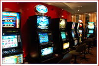 Dandenong VIC Tourism Noosa