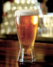 Holwell TAS Tourism Noosa