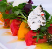 East End Hotel - Tourism Noosa