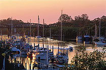 H20 Bar And Bistro - Tourism Noosa 1