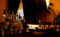 Lilyblacks - Tourism Noosa 2