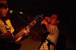 Happy Yess - Tourism Noosa 2