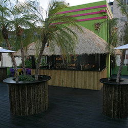 The Carlton  - Tourism Noosa 3