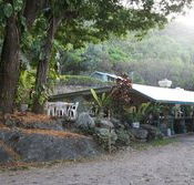 Ellis Beach Bar  Grill - Tourism Noosa