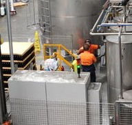 Little Creatures - Tourism Noosa