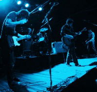 Fly By Night Musicians Club - Tourism Noosa