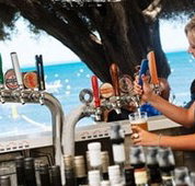 Quokka Arms - Tourism Noosa