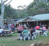 Bush Shack Brewery - Tourism Noosa