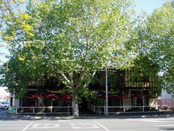 Flanagans Border Inn Hotel - Tourism Noosa 2