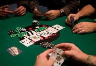 High Wycombe Tavern - Tourism Noosa 2