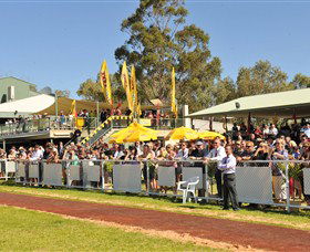 Alice Springs Turf Club - Tourism Noosa 5