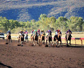 Alice Springs Turf Club - Tourism Noosa 6