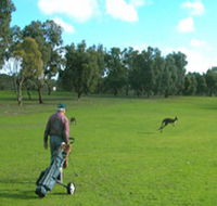 Coffin Bay Golf Club - Tourism Noosa