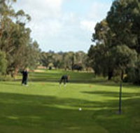 Mount Gambier Golf Club - Tourism Noosa