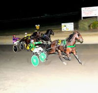 Bathurst Harness Racing Club - Tourism Noosa