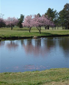 RMC Golf Club - Tourism Noosa 0