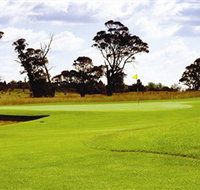 Mt Broughton Golf and Country Club - Tourism Noosa