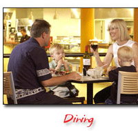 Steelers Club - Tourism Noosa