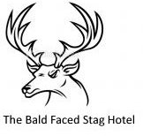 Bald Faced Stag - Tourism Noosa