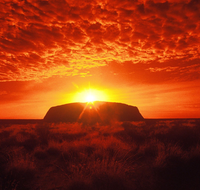 Annie's Place - Tourism Noosa