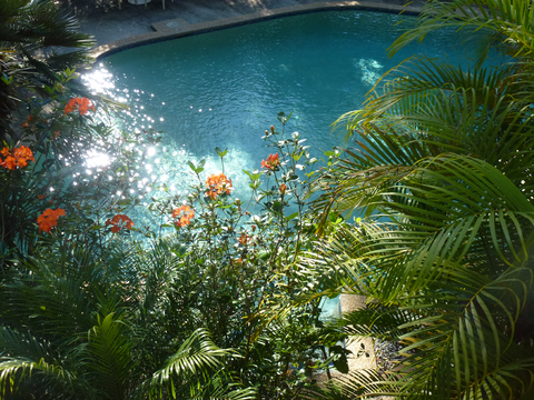 Avoca Beach Hotel - Tourism Noosa 1