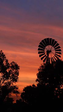 Emerald Springs Roadhouse - Tourism Noosa 5