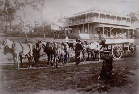 Grand Hotel Many Peaks - Tourism Noosa 3