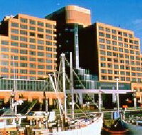 The Atrium Bar - Tourism Noosa