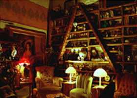 The Butterfly Club - Tourism Noosa 0