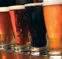 The Local Pub - Tourism Noosa