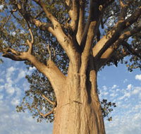 The Kimberley Grande - Tourism Noosa