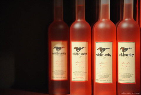 Fennell Bay Cellars - Tourism Noosa 0