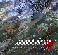 Antica Australis - Winter Fire Festival - Tourism Noosa