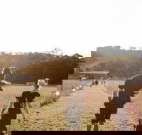 Arcadia - Tourism Noosa